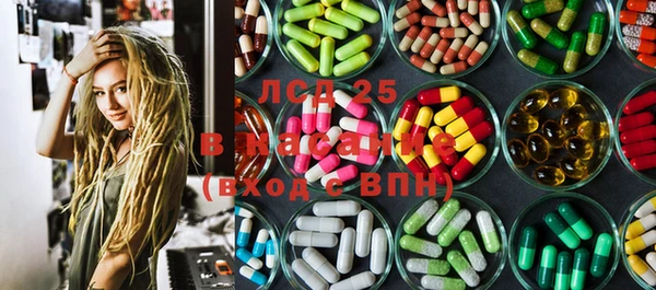 spice Бородино